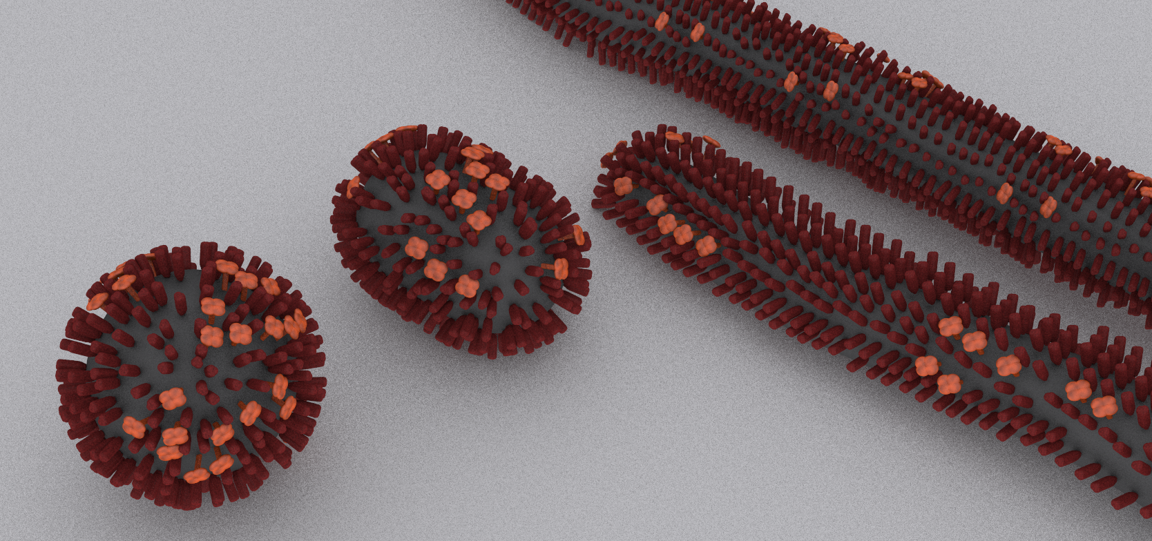 influenza particles